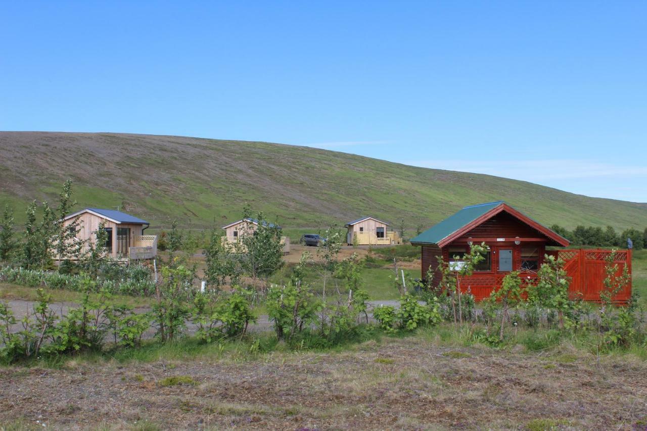 Villa Hrismoar Reykholt  Exterior foto